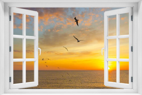 Fototapeta Naklejka Na Ścianę Okno 3D - Gulls over the sea at dawn.