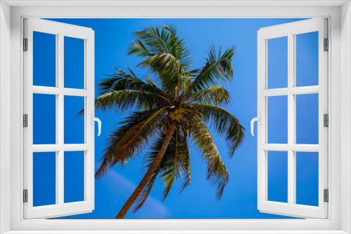 Fototapeta Naklejka Na Ścianę Okno 3D - Palm tree under the blue sky