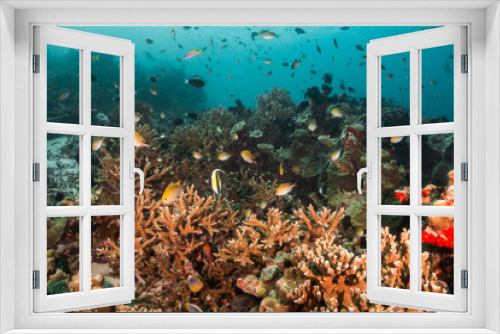 Fototapeta Naklejka Na Ścianę Okno 3D - Underwater photography, coral reef ecosystem surrounded by tropical reef fish. Colorful reef scene, deep blue water, vibrant reef life