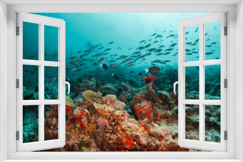 Fototapeta Naklejka Na Ścianę Okno 3D - Underwater photography. Coral reef ecosystem scene, schooling fish swimming among colorful coral reefs in blue water