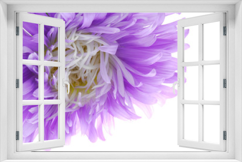 Fototapeta Naklejka Na Ścianę Okno 3D - blue flower