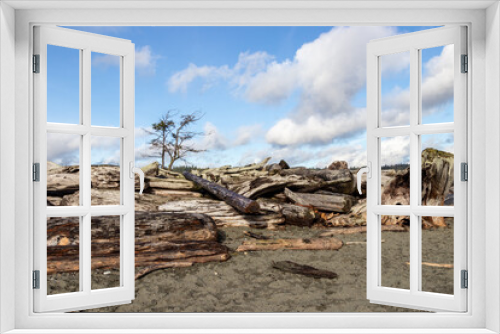Fototapeta Naklejka Na Ścianę Okno 3D - driftwood on the beach on the Coburg Peninsula, Vancouver Island