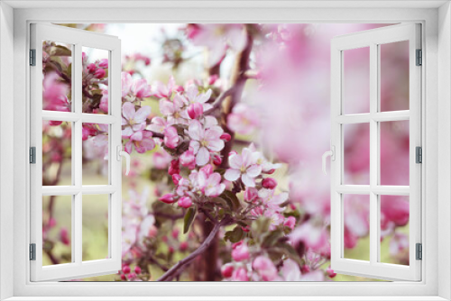 Fototapeta Naklejka Na Ścianę Okno 3D - beautiful pink spring flowers