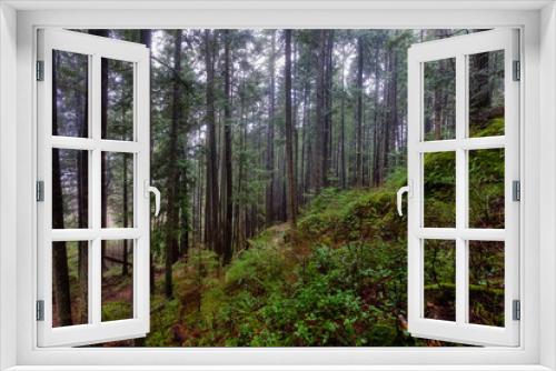 Fototapeta Naklejka Na Ścianę Okno 3D - Mystical View of the Trail in Rain Forest during a foggy and rainy Winter Season. Woods in Squamish, North of Vancouver, British Columbia, Canada.