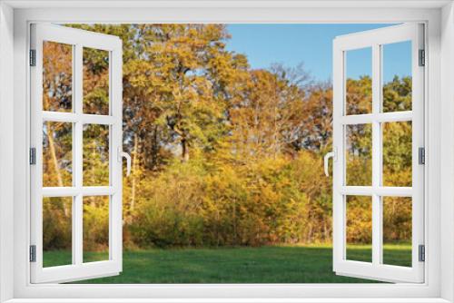 Fototapeta Naklejka Na Ścianę Okno 3D - Weide im Herbst am Waldrand - Wiese mit Bäume Panorama