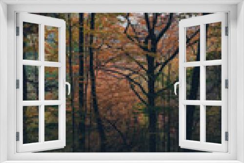 Fototapeta Naklejka Na Ścianę Okno 3D - a cloudy day in the magical forest during autumn season with fog and colorful leaves