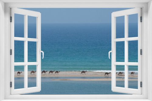 Fototapeta Naklejka Na Ścianę Okno 3D - Oman, Dhofar region, near Salalah, Khor Rori. Beach view of the Arabian Sea from historic Sumhuram, part of the Frankincense Trail. Heard of wild camels on the beach.