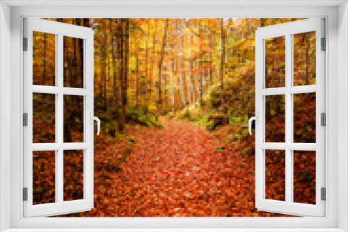 Fototapeta Naklejka Na Ścianę Okno 3D - A picturesque path in the autumn forest. beautiful nature