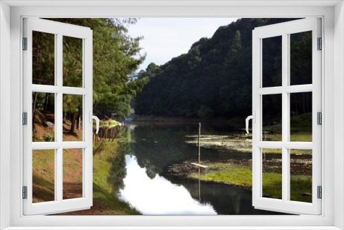 Fototapeta Naklejka Na Ścianę Okno 3D - bosque y reflejo