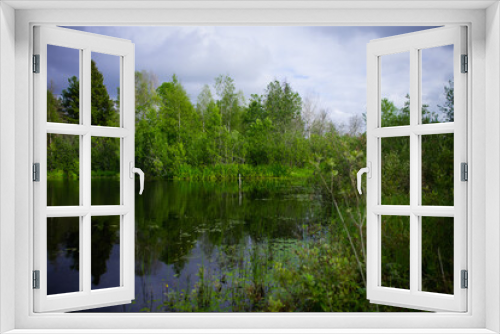 Fototapeta Naklejka Na Ścianę Okno 3D - Summer landscape, swamp, forest lake, fishing spot, green forest