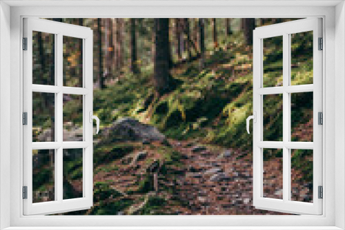 Fototapeta Naklejka Na Ścianę Okno 3D - A tree in a forest a mountain