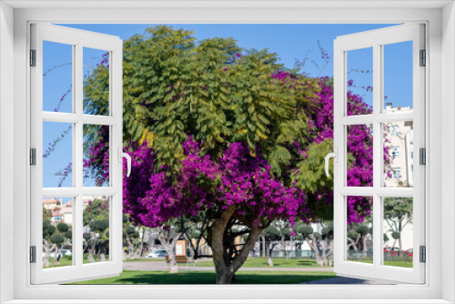 Fototapeta Naklejka Na Ścianę Okno 3D - Árbol de la vida