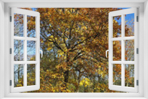 Fototapeta Naklejka Na Ścianę Okno 3D - Baum im Herbst