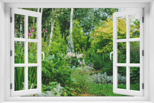 Fototapeta Naklejka Na Ścianę Okno 3D - beautiful cottage garden view in august, blooming perennials and stachys
