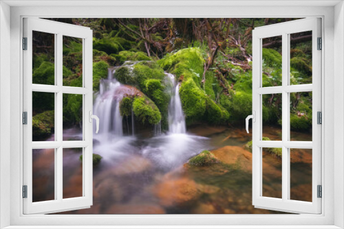 Fototapeta Naklejka Na Ścianę Okno 3D - forest stream with waterfalls