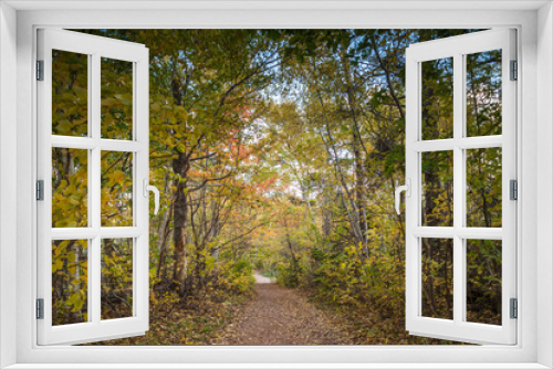 Fototapeta Naklejka Na Ścianę Okno 3D - Canada, Prince Edward Island, Cavendish, Lovers Lane in autumn. Landscape behind former home of Anne of Green Gables, author Lucy Maud Montgomery.