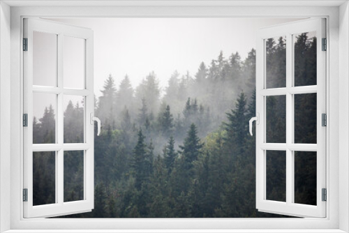 Fototapeta Naklejka Na Ścianę Okno 3D - Europe, Germany, Bavaria, Berchtesgaden, Hillside Forest in Early Morning Fog