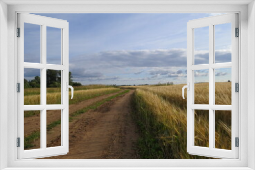 Fototapeta Naklejka Na Ścianę Okno 3D - road, field, landscape, sky, nature, grass, summer, green, country, rural, blue, cloud, meadow, countryside, path, 