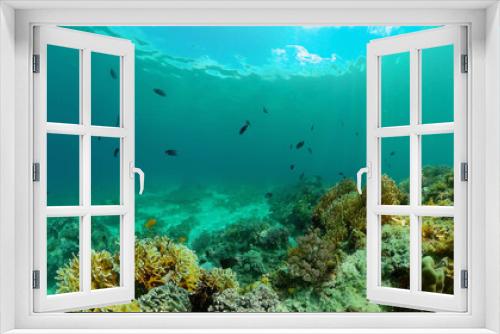 Fototapeta Naklejka Na Ścianę Okno 3D - Underwater fish garden reef. Reef coral scene. Coral garden seascape. Philippines.