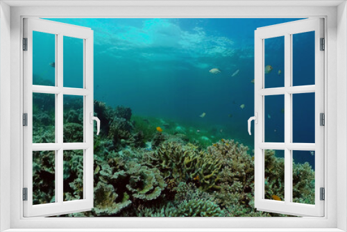 Fototapeta Naklejka Na Ścianę Okno 3D - Beautiful underwater world with coral reef and tropical fishes. Philippines. Travel vacation concept