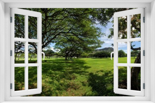 Fototapeta Naklejka Na Ścianę Okno 3D - a park in Waikiki hawaii