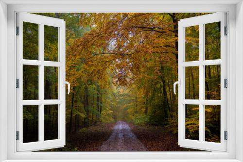 Fototapeta Naklejka Na Ścianę Okno 3D - path in dark autumn forest