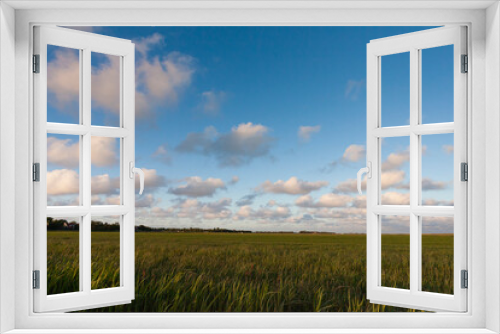 Fototapeta Naklejka Na Ścianę Okno 3D - Grasland, grassland