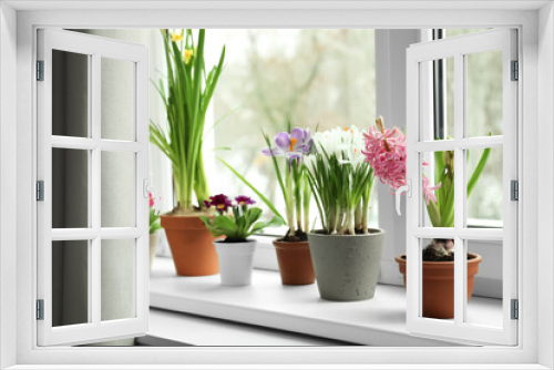 Fototapeta Naklejka Na Ścianę Okno 3D - Different flowers growing in ceramic pots on window sill