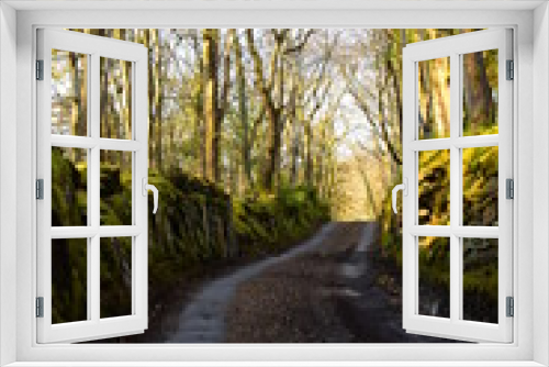 Fototapeta Naklejka Na Ścianę Okno 3D - a small single lane road in wales with a wall on either side covered in moss