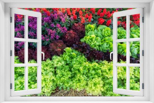 Fototapeta Naklejka Na Ścianę Okno 3D - Top view of multi-colour flower and vegetable garden
