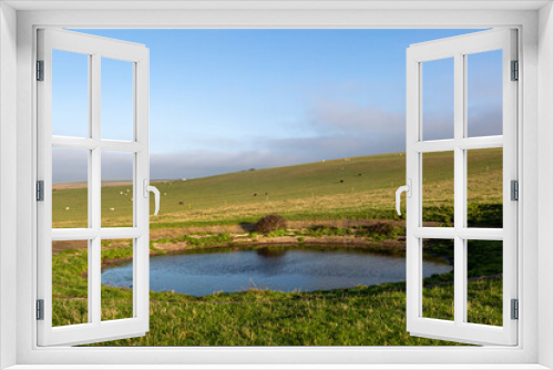 Fototapeta Naklejka Na Ścianę Okno 3D - A Dew Pond in the Sussex Countryside