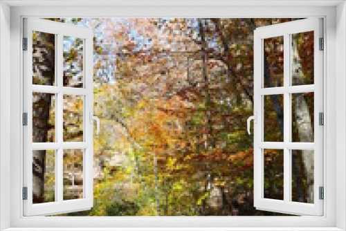 Fototapeta Naklejka Na Ścianę Okno 3D - Nature's Colors, Woods and Sky