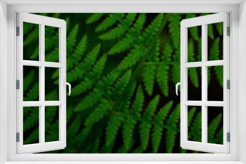Fototapeta Naklejka Na Ścianę Okno 3D - Green fresh fern was shot on macro style on blurry background. The vertical photo. There is a space for text.
