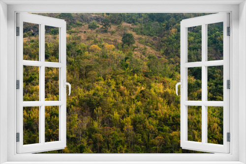 Fototapeta Naklejka Na Ścianę Okno 3D - Leave color change in Autumn forest of Thailand