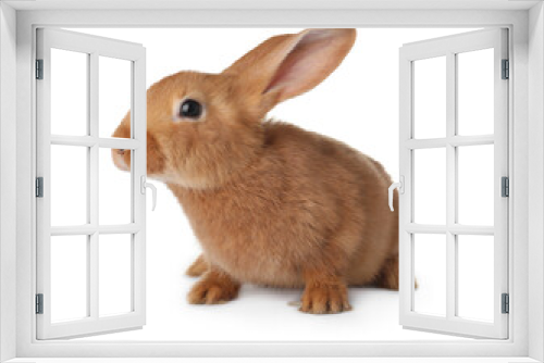 Fototapeta Naklejka Na Ścianę Okno 3D - Cute bunny isolated on white. Easter symbol