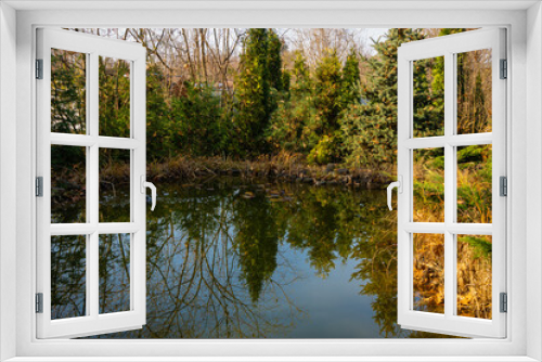 Fototapeta Naklejka Na Ścianę Okno 3D - View of beautiful garden pond with evergreen plants on shore. Plants are reflected in mirror surface of water. Golden leaves float on surface of water. Autumn landscape. Relaxing atmosphere.