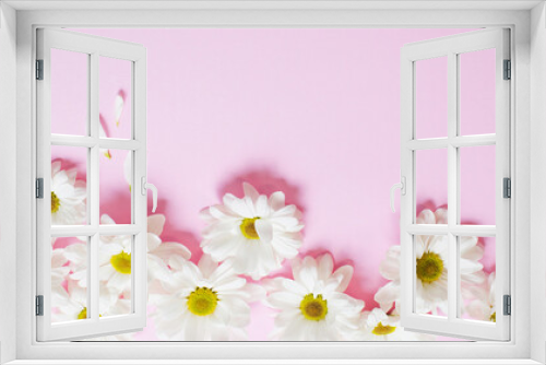 Fototapeta Naklejka Na Ścianę Okno 3D - white chrysanthemum on pink paper background