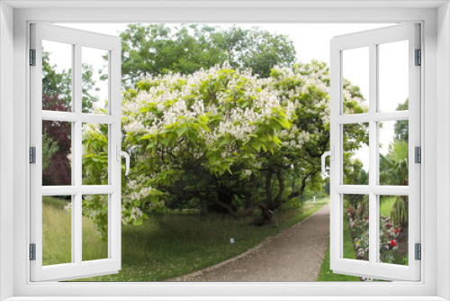Fototapeta Naklejka Na Ścianę Okno 3D - Flowering shrubs in an old park