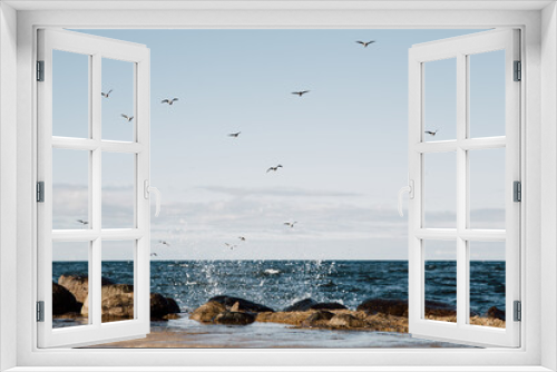 Fototapeta Naklejka Na Ścianę Okno 3D - Seascape with flying seagulls at peaceful day