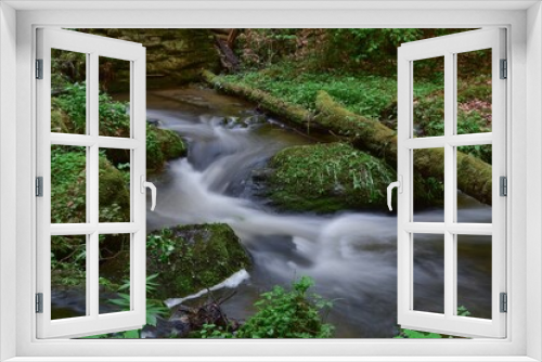 Fototapeta Naklejka Na Ścianę Okno 3D - Forest river flow