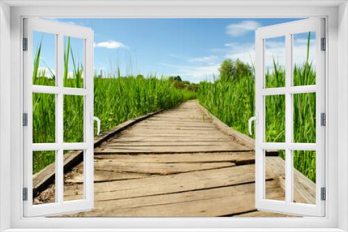 Fototapeta Naklejka Na Ścianę Okno 3D - Footbridge crossing the dense thickets. Path through a green summer park. Wooden walkway, path in dense greenery. Thickets of grass. background travel concept