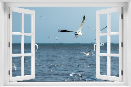 Fototapeta Naklejka Na Ścianę Okno 3D - Seagulls flying