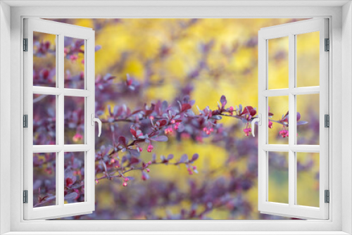 Fototapeta Naklejka Na Ścianę Okno 3D - krzew