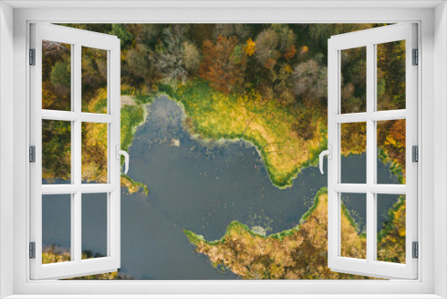 Fototapeta Naklejka Na Ścianę Okno 3D - Aerial view on wild forest scene in autumn time, colorful trees, and pine woods with river.