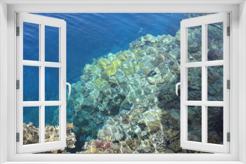 Fototapeta Naklejka Na Ścianę Okno 3D - Scenic landscape of Egyptian coral coast with transparent clean water. Colorful textured backdrop with coral fishes  under water. Wild life of the clear Red Sea.
