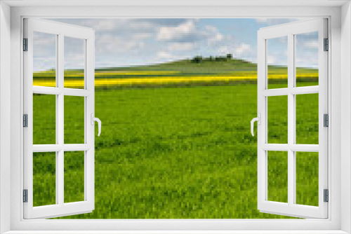 Fototapeta Naklejka Na Ścianę Okno 3D - żółte i zielone pola, pagórek, błękitne niebo z białymi obłokami