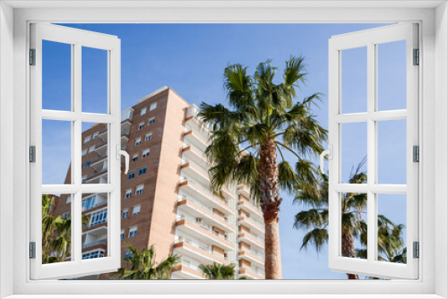 Fototapeta Naklejka Na Ścianę Okno 3D - palm trees in the city