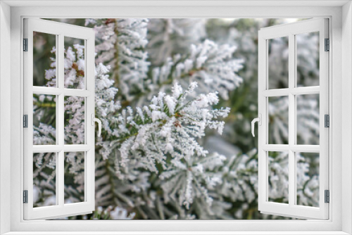 Fototapeta Naklejka Na Ścianę Okno 3D - Coniferous tree branches in hoarfrost close-up winter new year mood