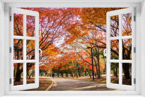 Fototapeta Naklejka Na Ścianę Okno 3D - 代々木公園の紅葉
