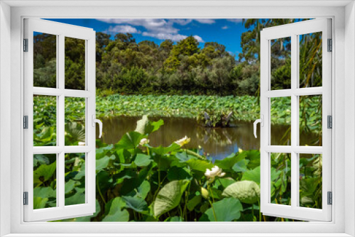 Fototapeta Naklejka Na Ścianę Okno 3D - Pond In Green
